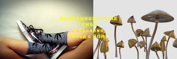 трава Уссурийск