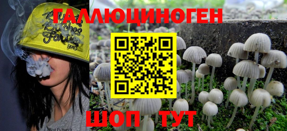 Псилоцибиновые грибы Cubensis Екатеринбург
